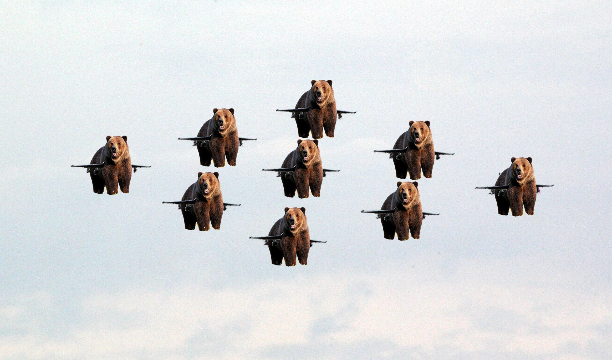 The first flight of Carrier Bear Wing, BVW-1, off the USS LEEROY JENKINS (BVW-1).