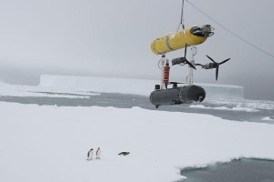 Penguins: They Love UUVs. NSF-funded SeaBED shown.