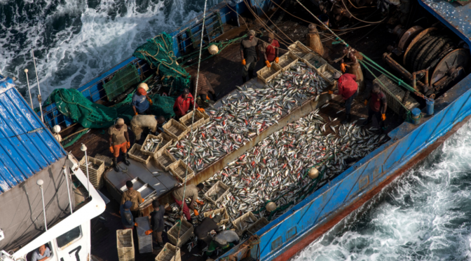 Leveraging NGOs and Volunteerism for Maritime Surveillance Against IUU Fishing
