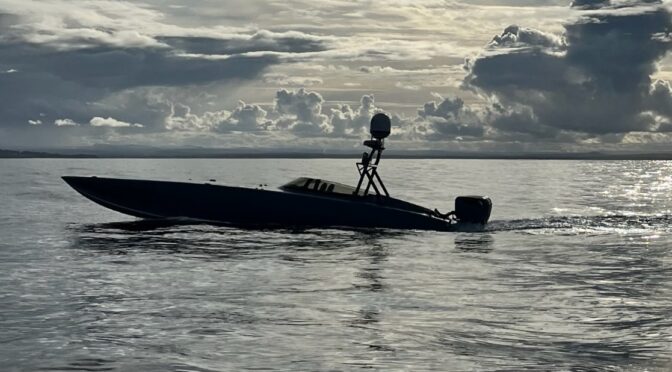 The Broadening Global Effort to Accelerate Unmanned Maritime Systems Development