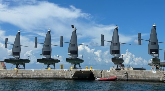 Unmanned Ships: A Fleet to Do What?